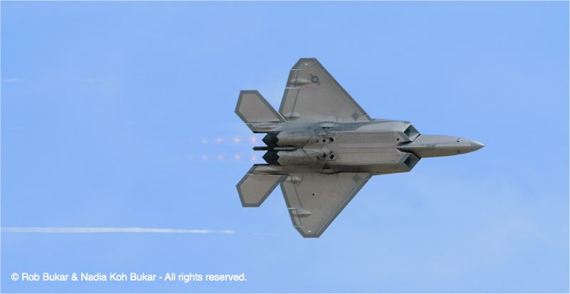 F-22 Raptor