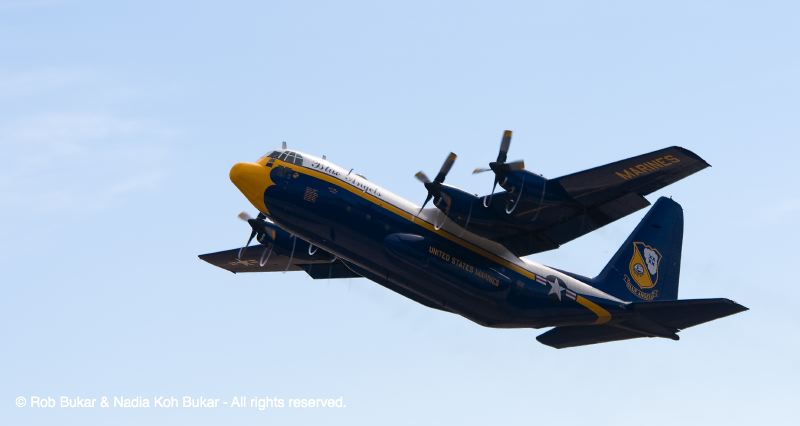 Fat Albert