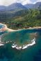 Coral, Na Pali Coast, Kauai