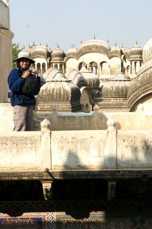 Nadia, Shekhawati