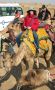 Julie on camel, Jaisalmer