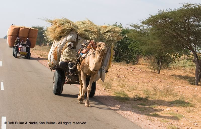 Tractor and Camel Cart, on the Road to Jaisalmer