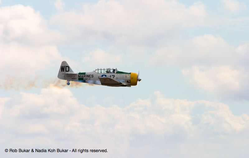 AT-6 War Dog
