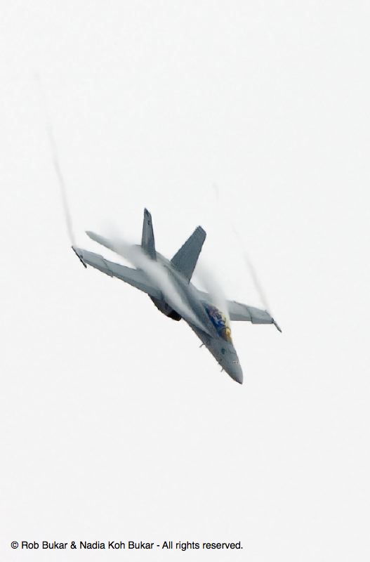 F-18 Super Hornet