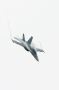 F-18 Super Hornet