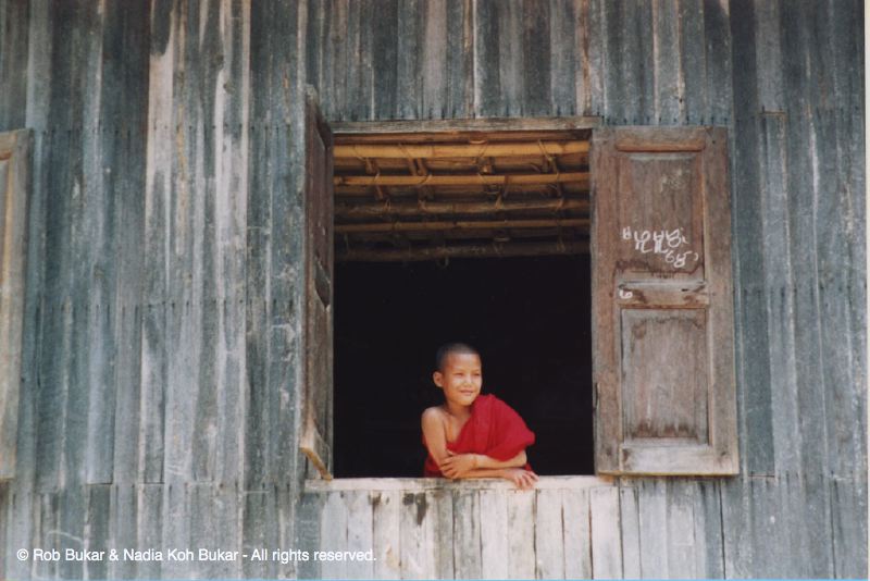 Young Monk