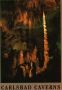 Carlsbad Caverns, Postcard