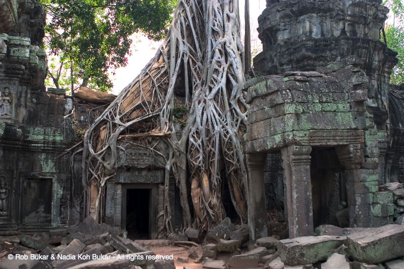 Ta Prohm