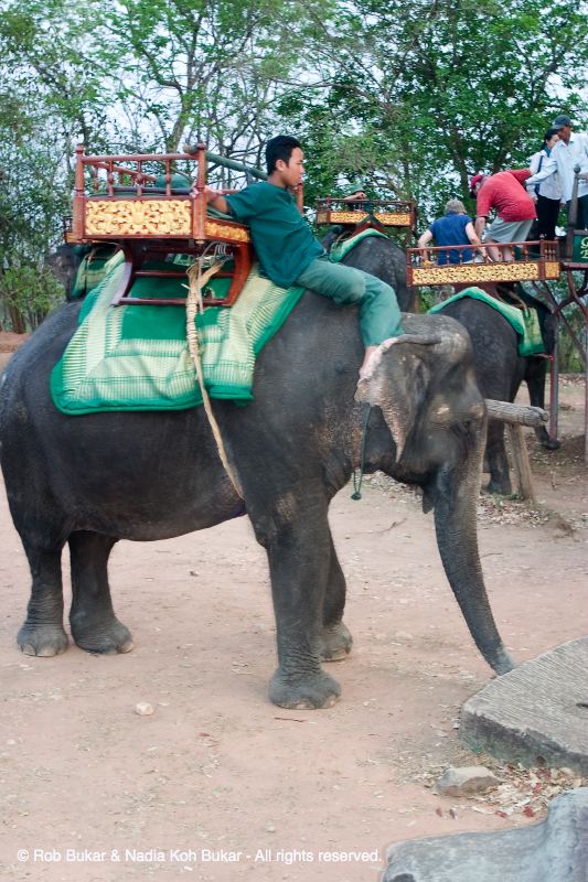 Elephant Ride