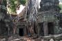 Ta Prohm