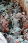 Terra-cotta Soldiers Unrepaired