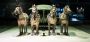 Terra-cotta Soldiers