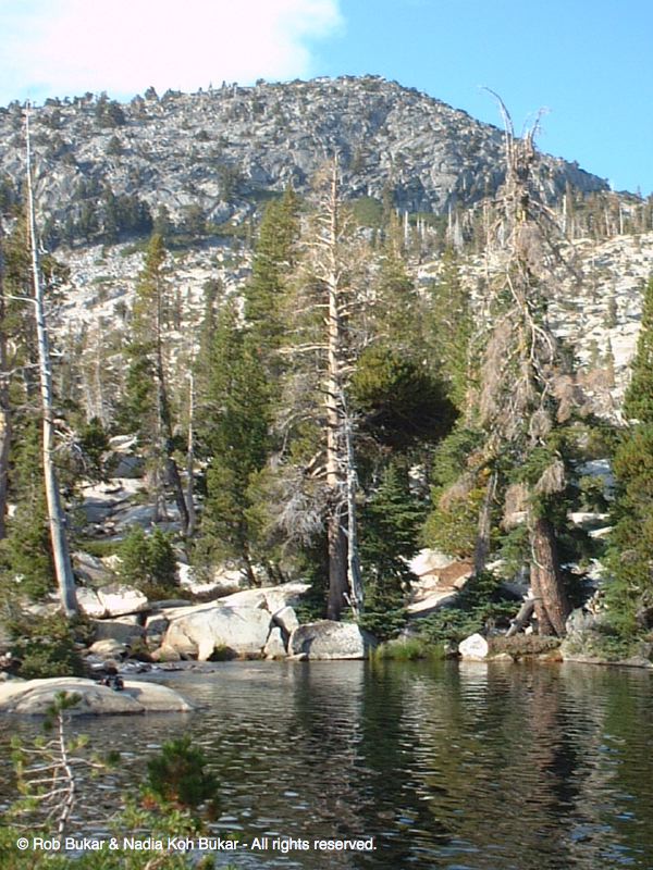 Lake View