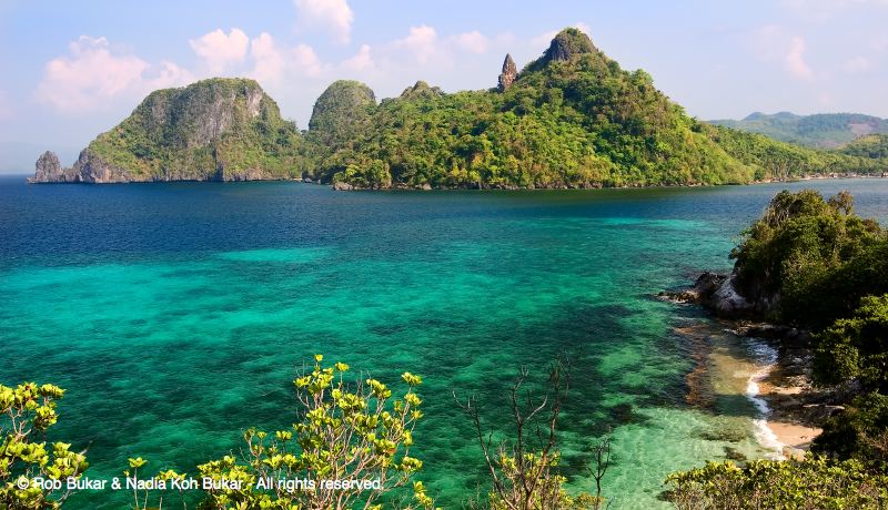From Snake Island
