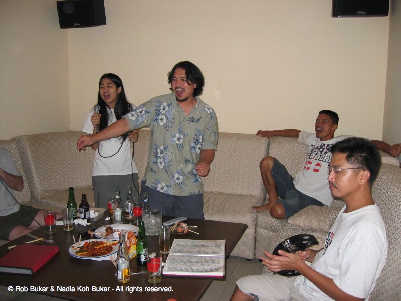 Karaoke Fun