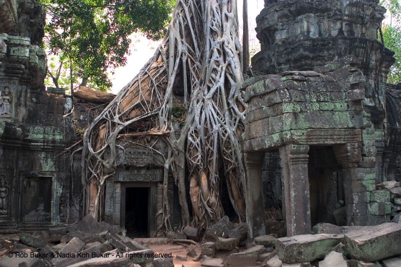 Ta Prohm