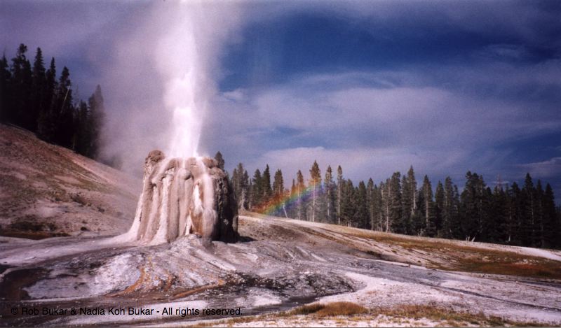 Lonestar Geyser