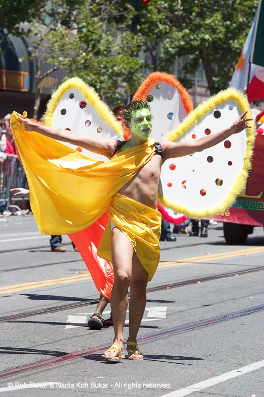 Butterfly Man