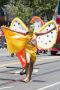 Butterfly Man