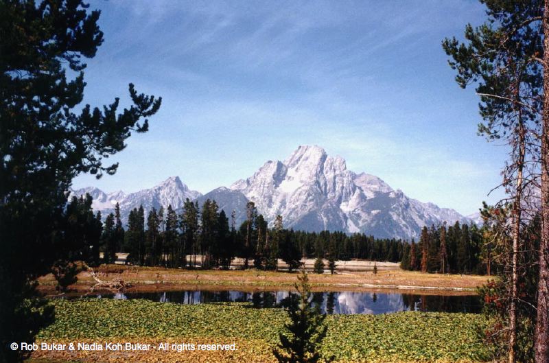 The Grand Tetons