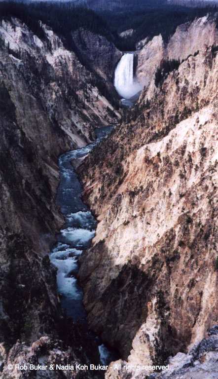 Lower Yellowstone Falls
