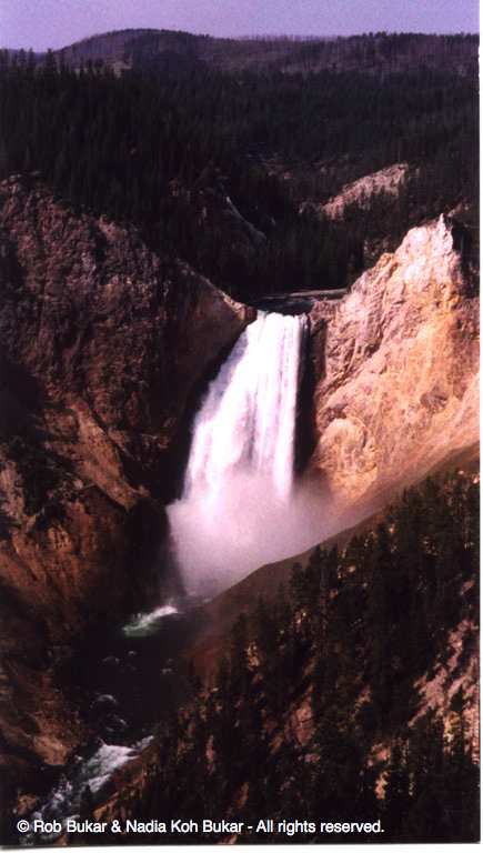 Lower Yellowstone Falls