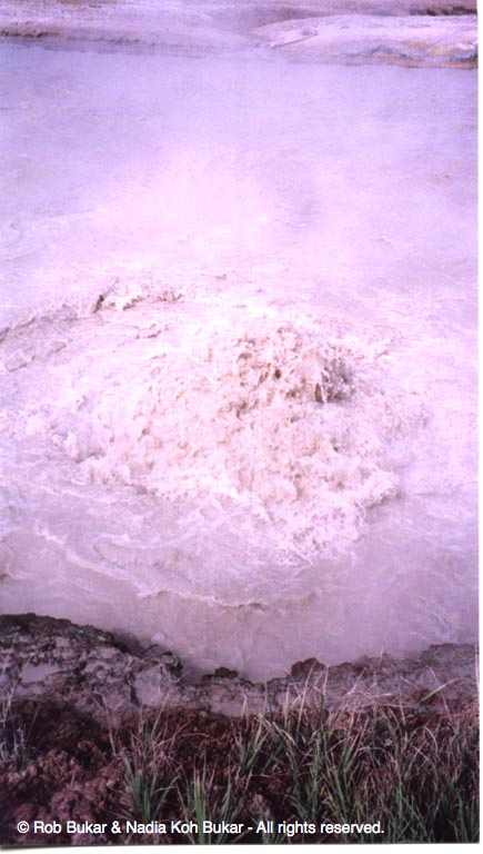Bubbling Hot Srping