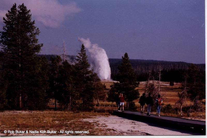Old Faithful