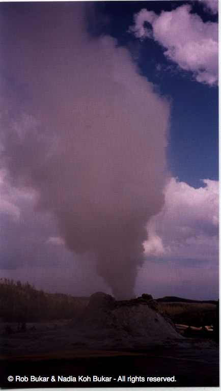 Another Geyser
