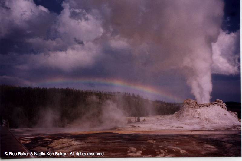 Capitol Geyser