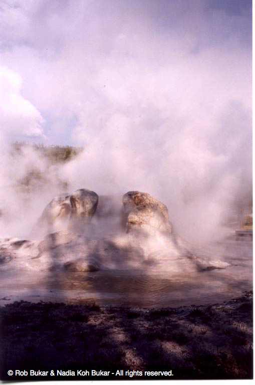 Another Geyser