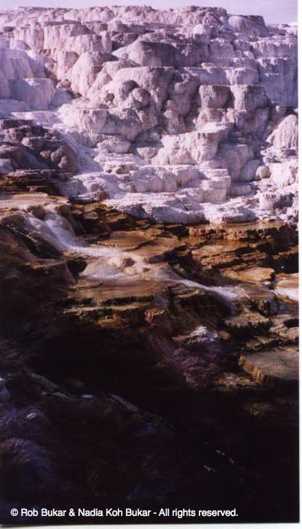Mammoth Hot Spring
