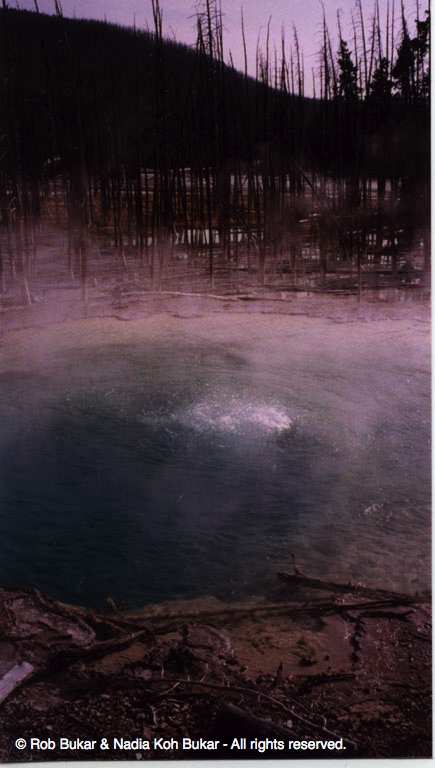 Bubbling Hot Spring, Yellowstone