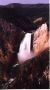 Lower Yellowstone Falls