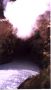 Steaming Cave