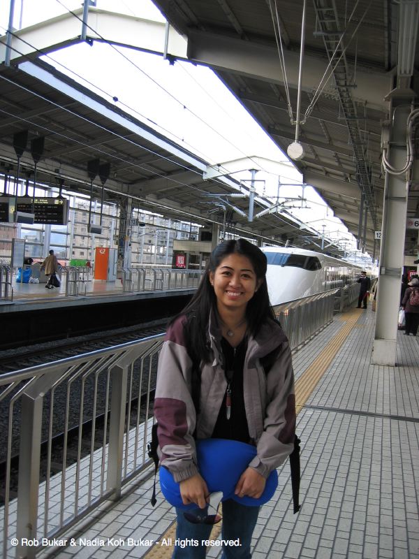 Bullet Train