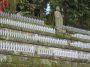Jizo Statues, Hase Kannon Temple, Kamakura