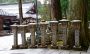 Japanese Stone Lanterns, Shingon Buddhist Temple, Mount Koya, Wakayama Prefecture