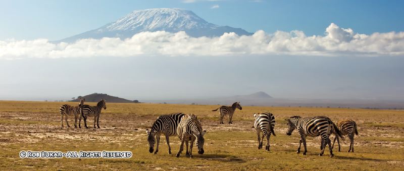 Kilimanjaro