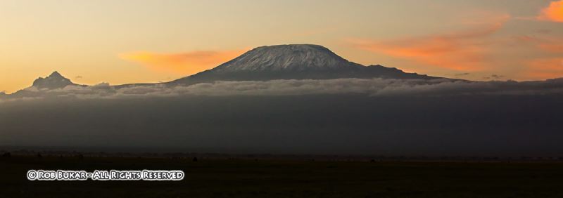 Kilimanjaro