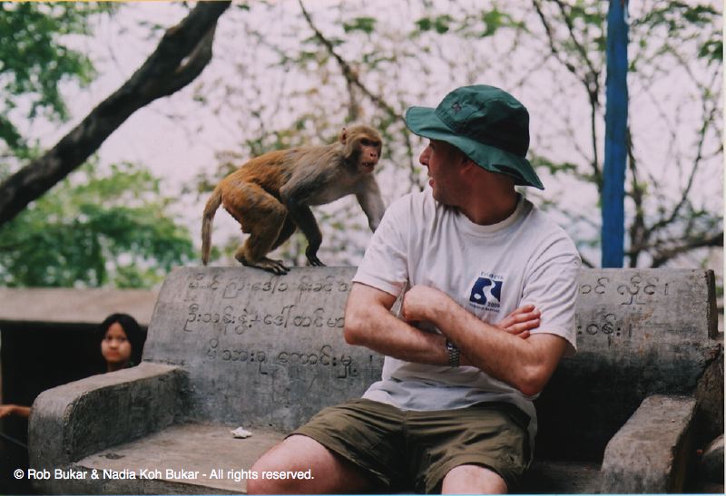 Rob Being Attacked by Monkey