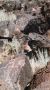 Petroglyphs Outside Albuquerque