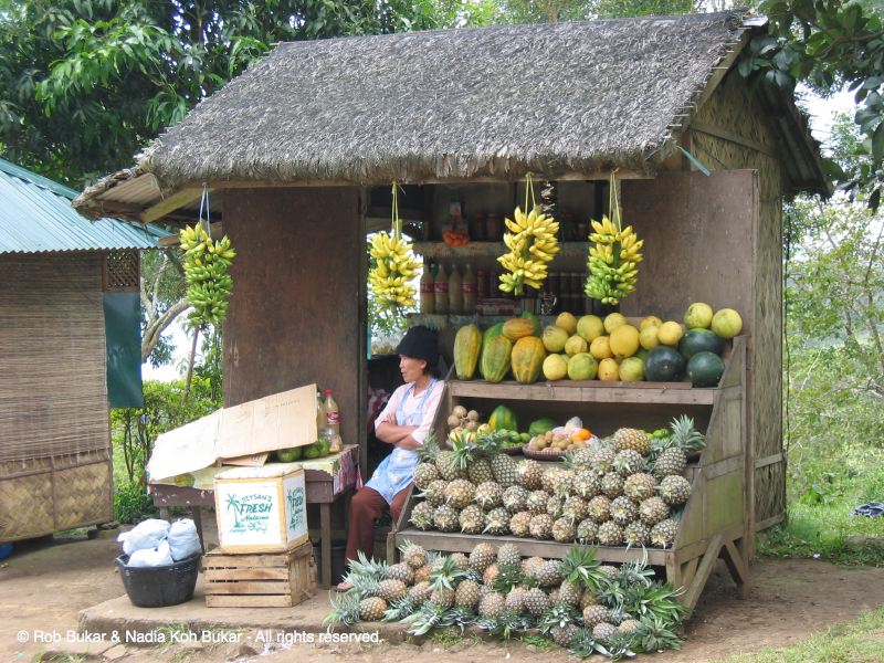 Fruit Stand at Taal