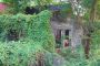 Tita (Aunt) Bec's abandoned home after Pinatubo Eruption