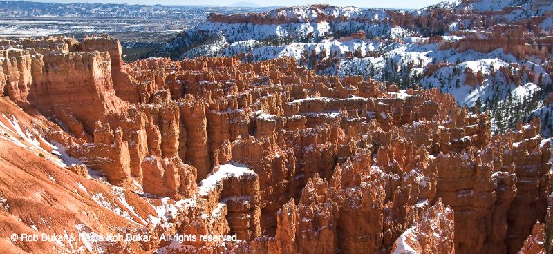 Bryce Canyon
