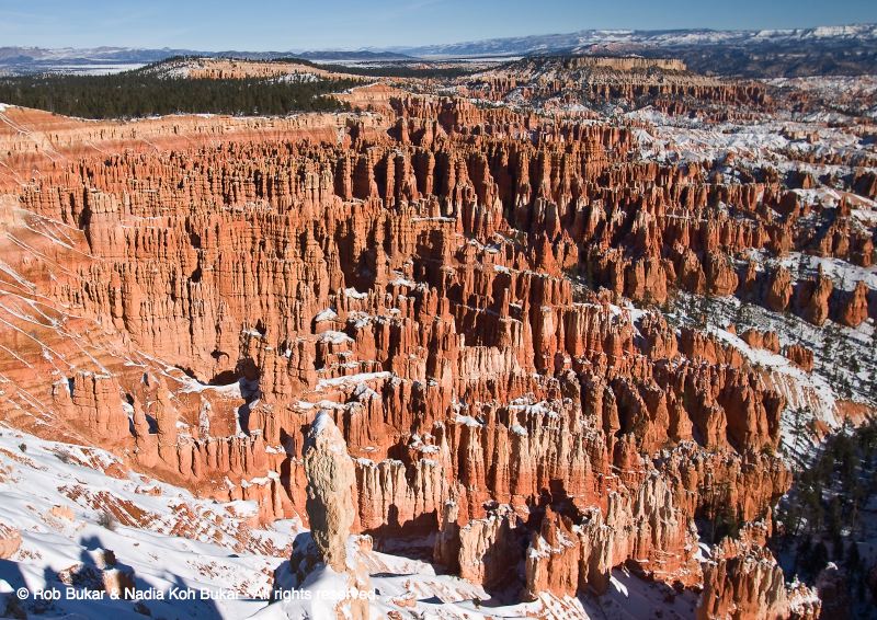 Bryce Canyon