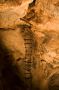 Old Cave Ladder