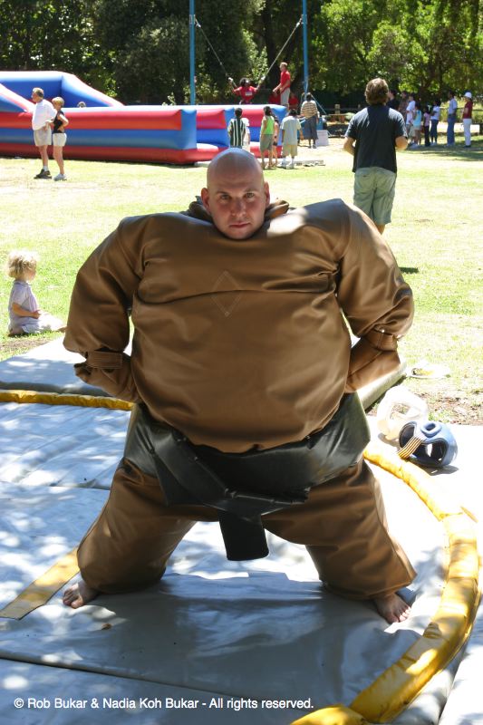Sumo Rob