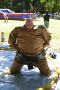Sumo Rob