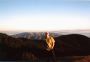Mount Tam